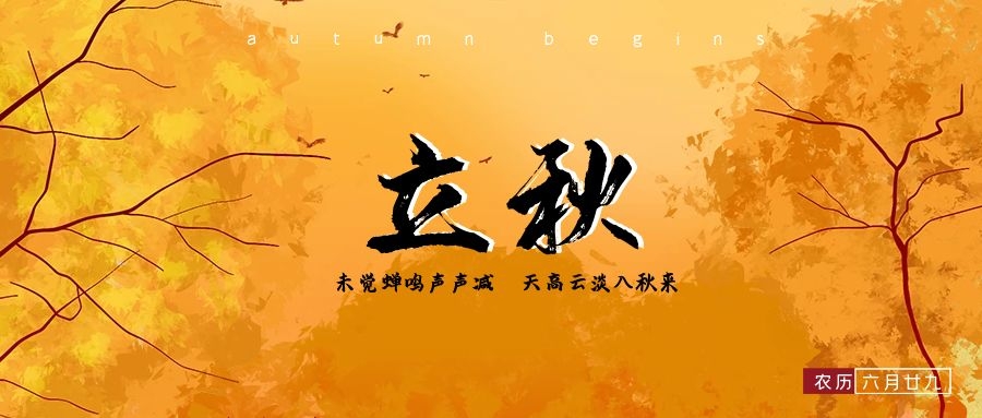 立秋|晴照穿綠枝，不知秋將至